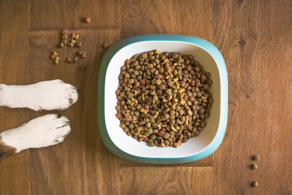 Comida para Perros